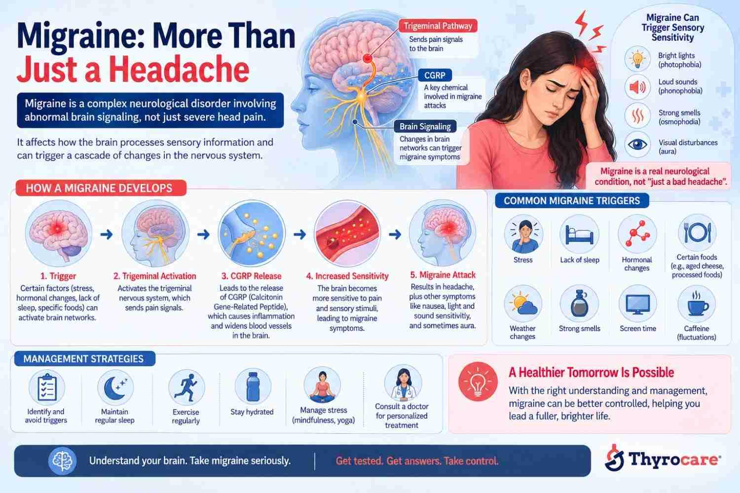 Migraine Is More Than a Headache: What Happens Inside the Nervous System