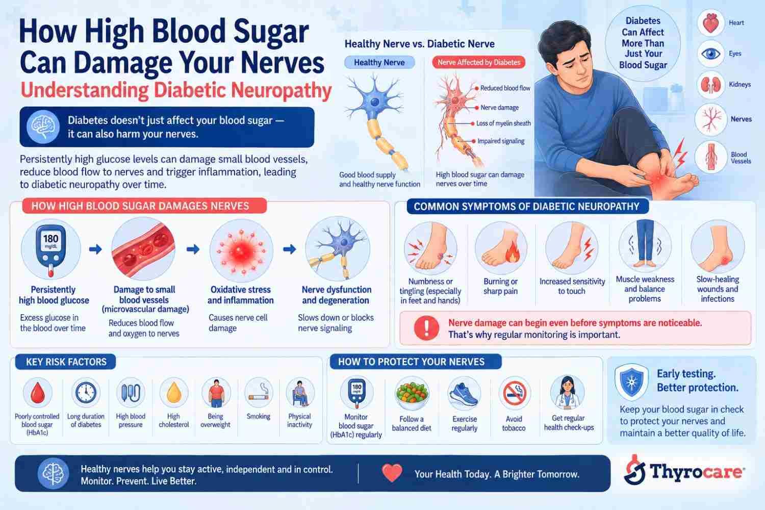 Why High Blood Sugar Can Slowly Damage the Nerves