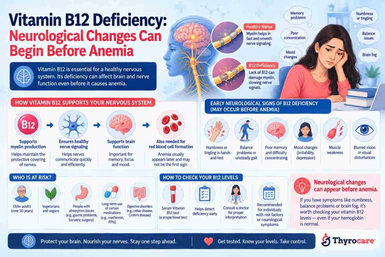 Vitamin B12 Deficiency and the Nervous System: Why Neurological Symptoms Can Come First