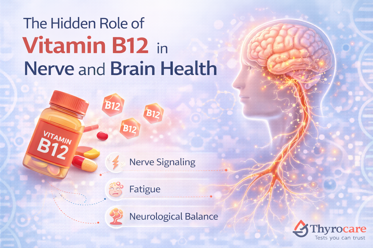 The Hidden Role of Vitamin B12 in Nerve and Brain Health