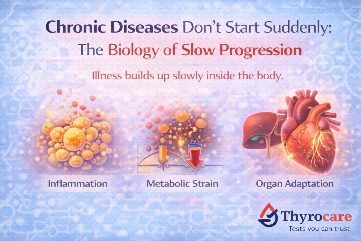 Chronic Diseases Don’t Start Suddenly: The Biology of Slow Progression