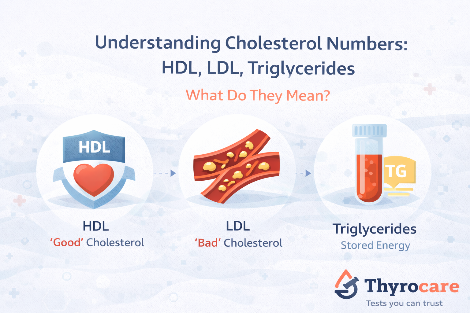 Understanding Cholesterol Numbers: HDL, LDL, Triglycerides
