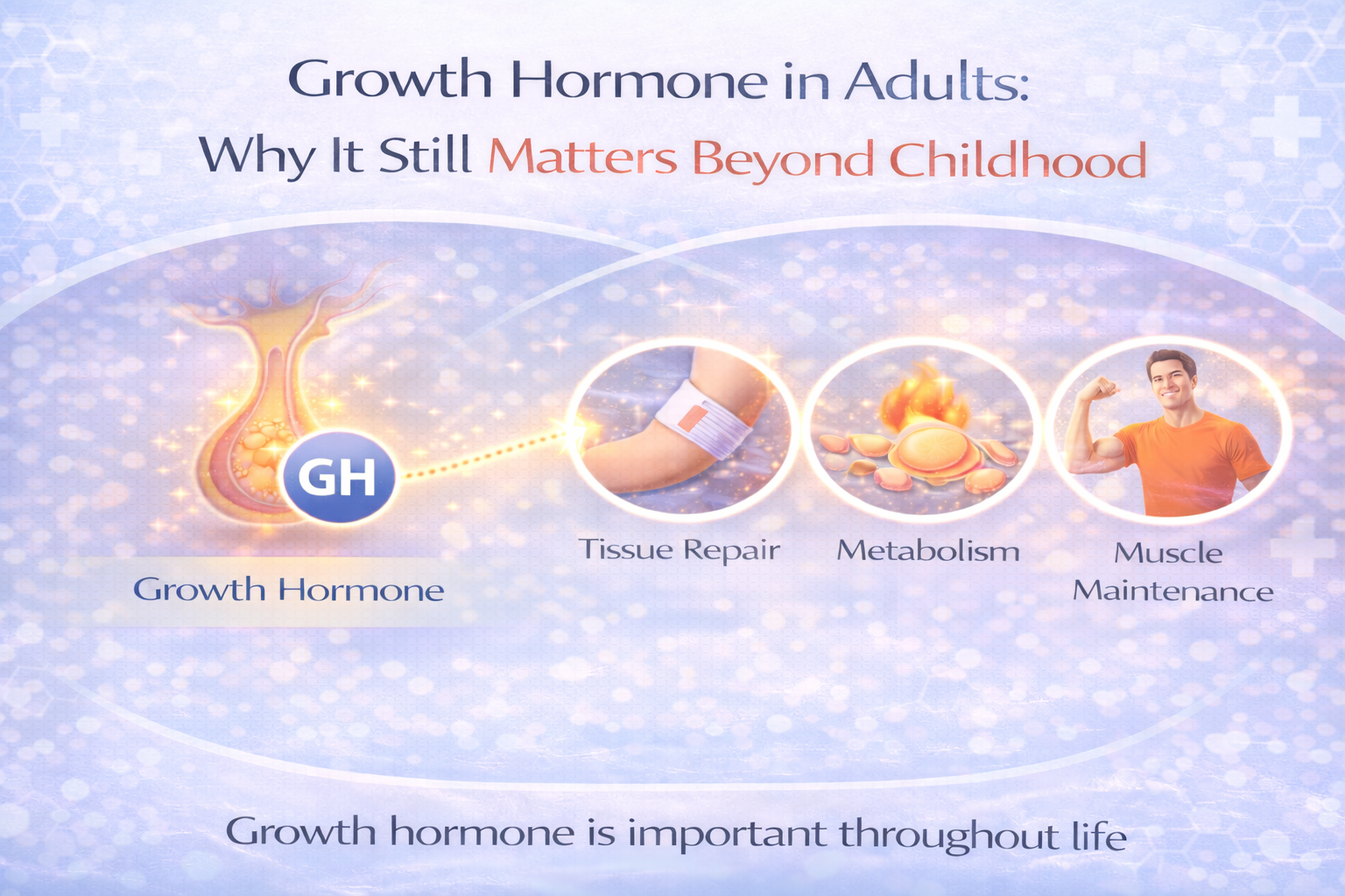 Growth Hormone in Adults: Why It Still Matters Beyond Childhood